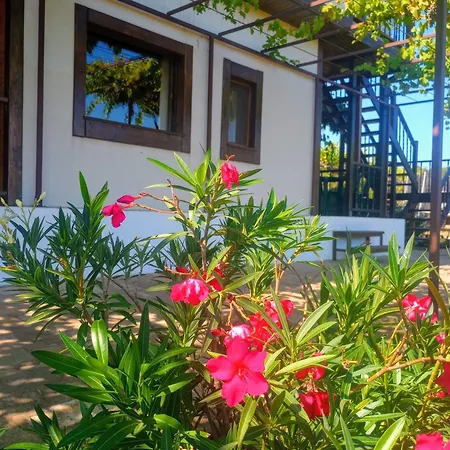 Maison d'hôtes Lozyata