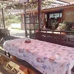 Lozyata 4* Obzor