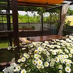 Lozyata Guest house 4*