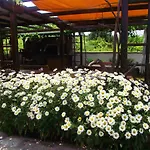Lozyata Obzor