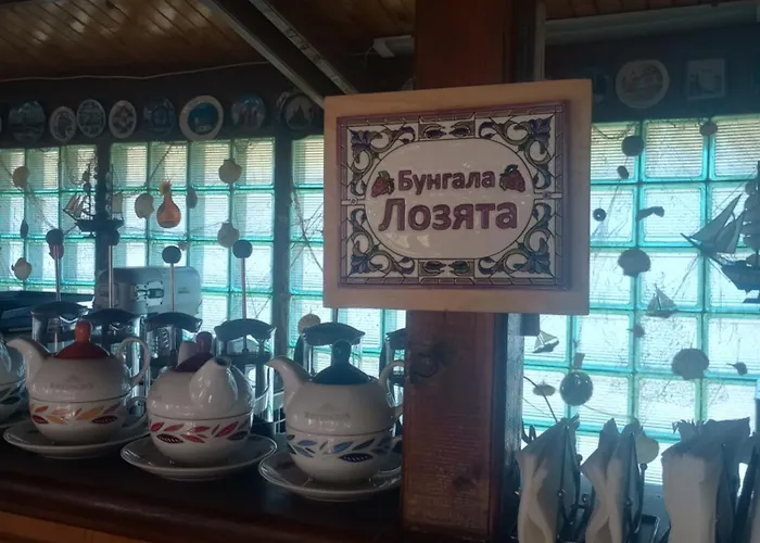 Pensionat Lozyata 3*